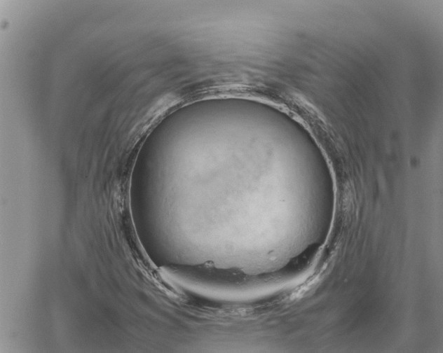 X0000064751353200602171722