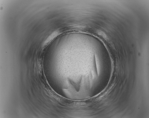 X0000064751354200602171722