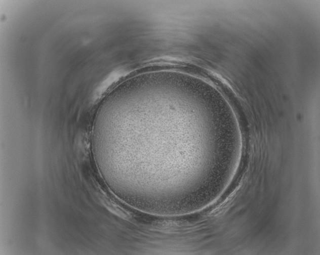 X0000064751355200602171722