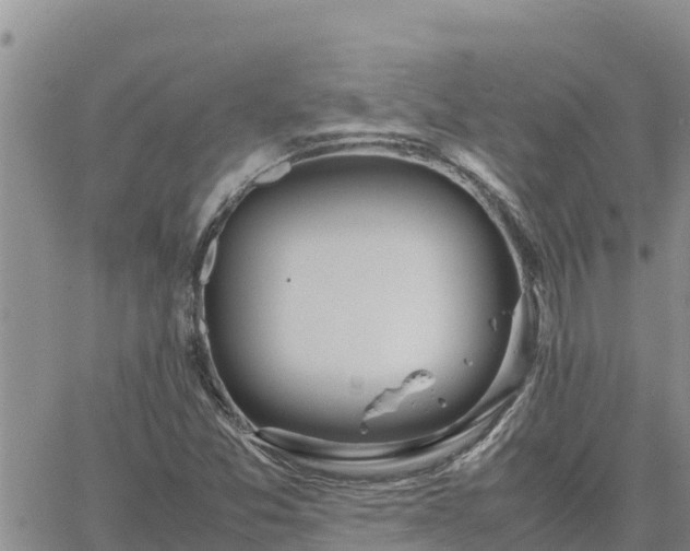 X0000064751357200602171722