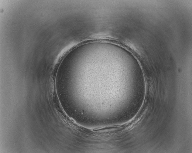 X0000064751358200602171722