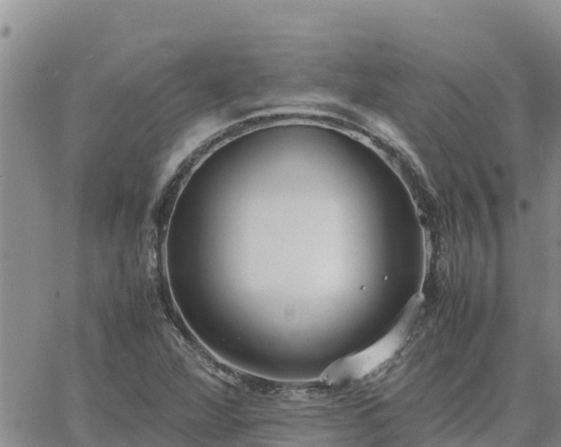 X0000064751360200602171722