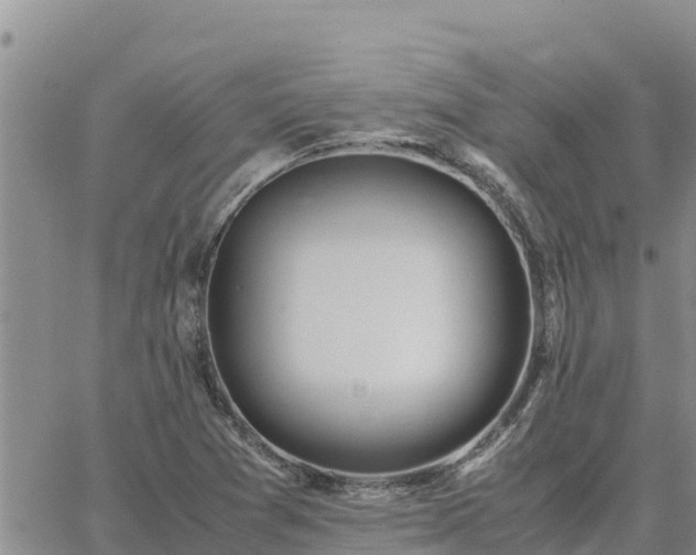 X0000064751361200602171722