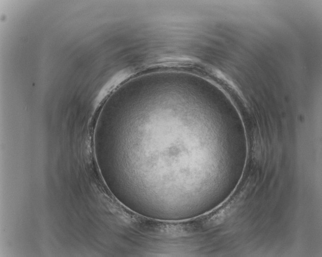 X0000064751362200602171722