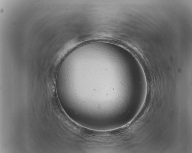 X0000064751363200602171722