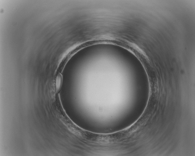 X0000064751364200602171722