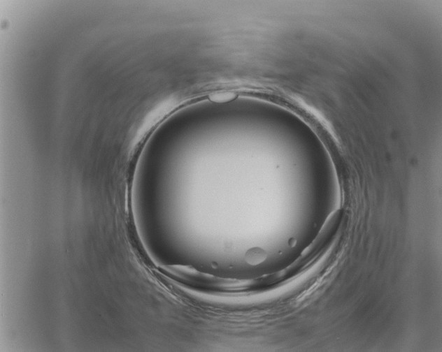 X0000064751365200602171722