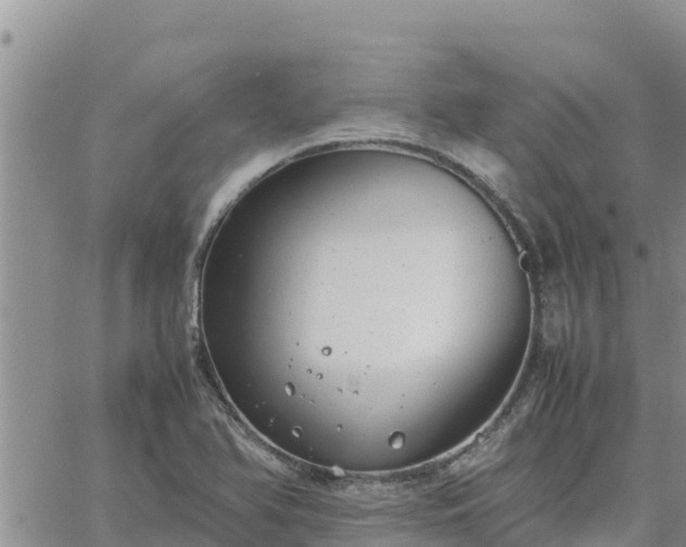 X0000064751366200602171722