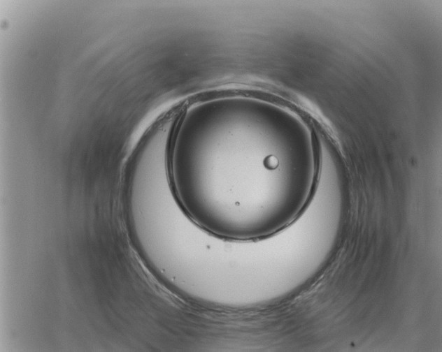 X0000064751368200602171722