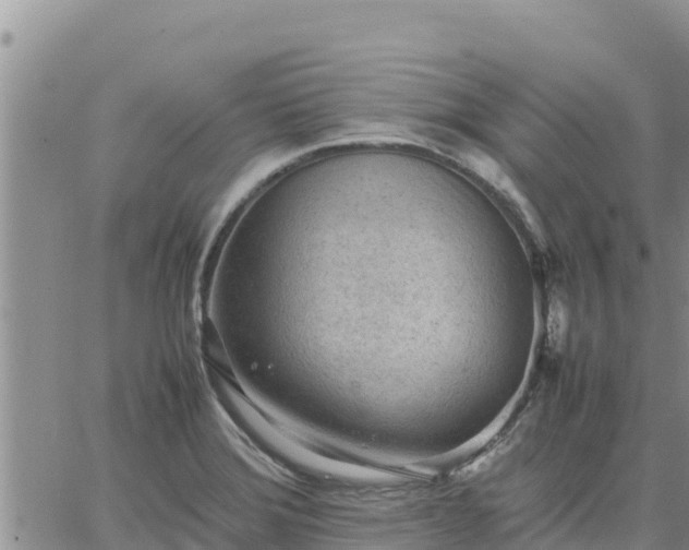 X0000064751372200602171722