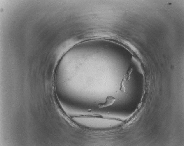 X0000064751373200602171722