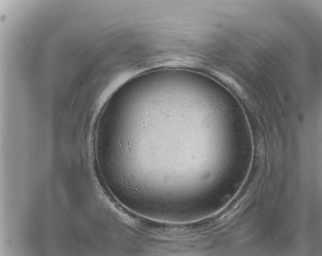 X0000064751375200602171722