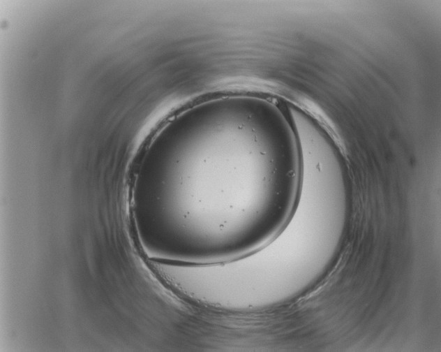 X0000064751376200602171722