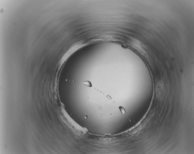 X0000064751378200602171722