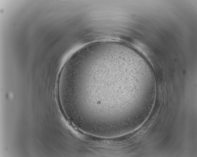 X0000064751379200602171722