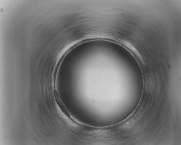 X0000064751380200602171722