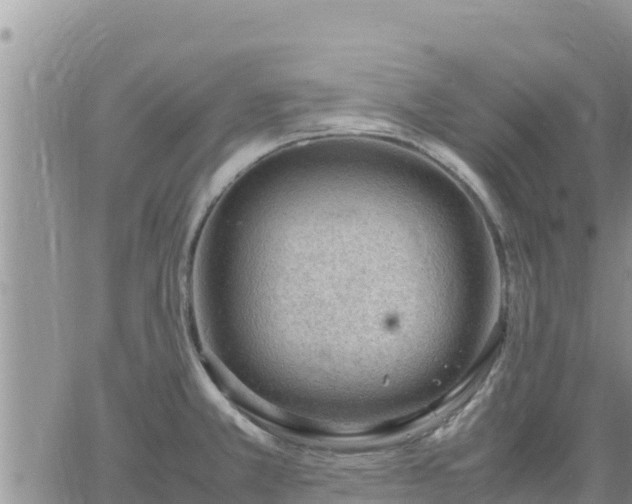 X0000064751381200602171722