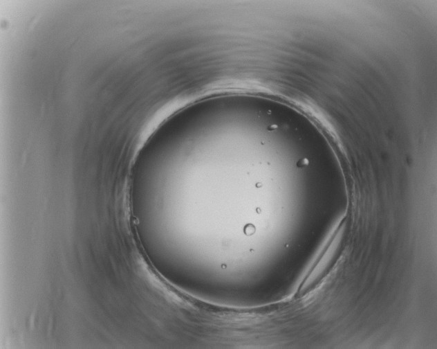 X0000064751382200602171722