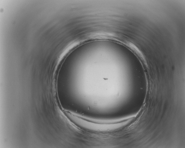 X0000064751384200602171722