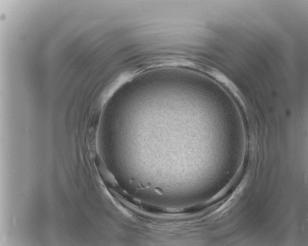 X0000064751385200602171722