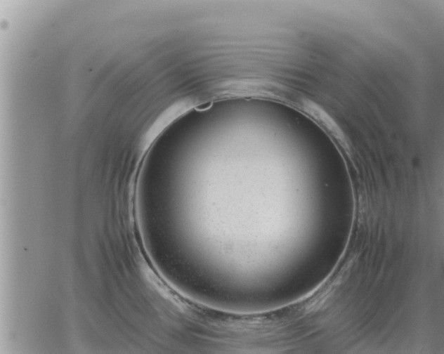 X0000064751386200602171722