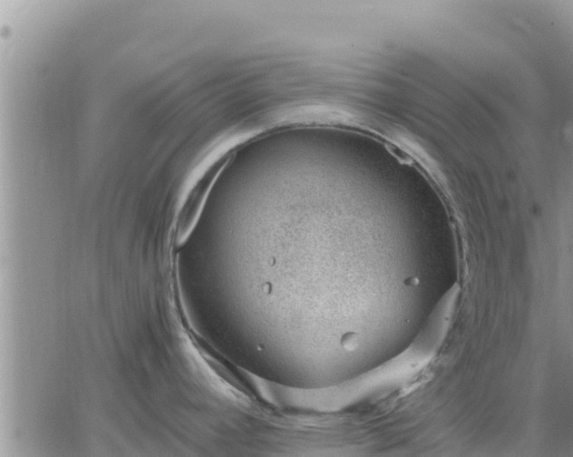 X0000064751392200602171722