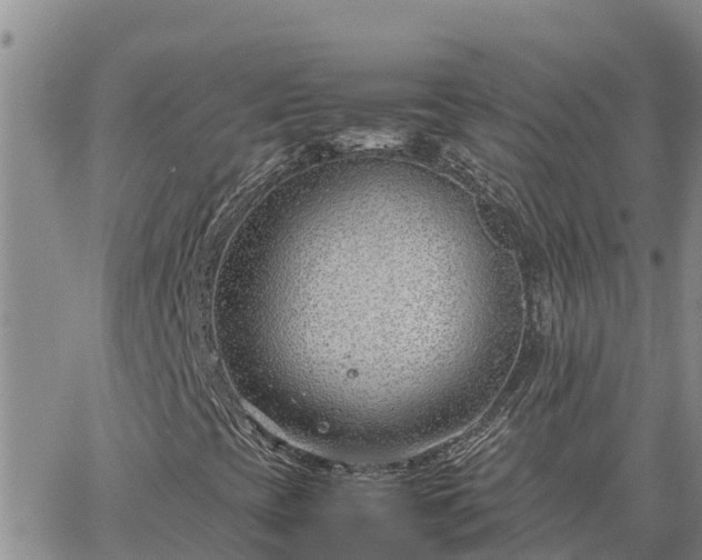 X0000064751393200602171721