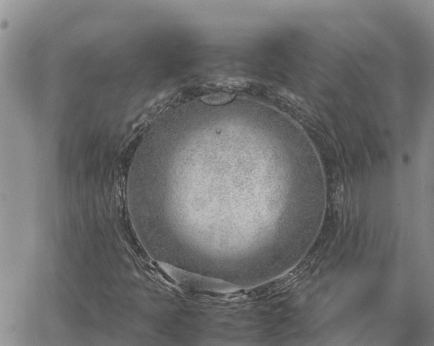 X0000064751397200602171721