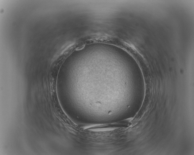 X0000064751399200602171721