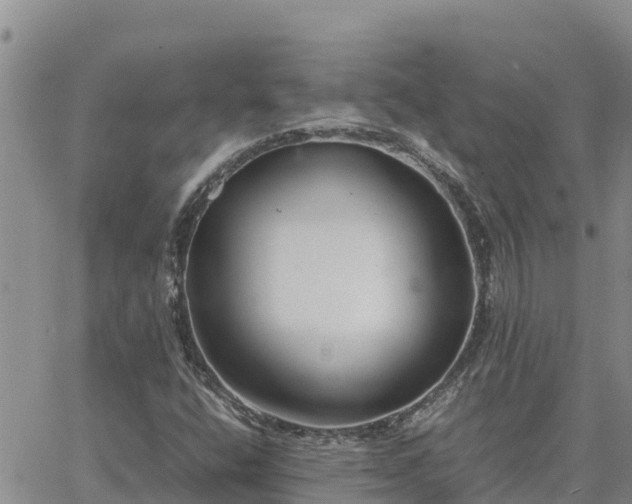 X0000064751400200602171721