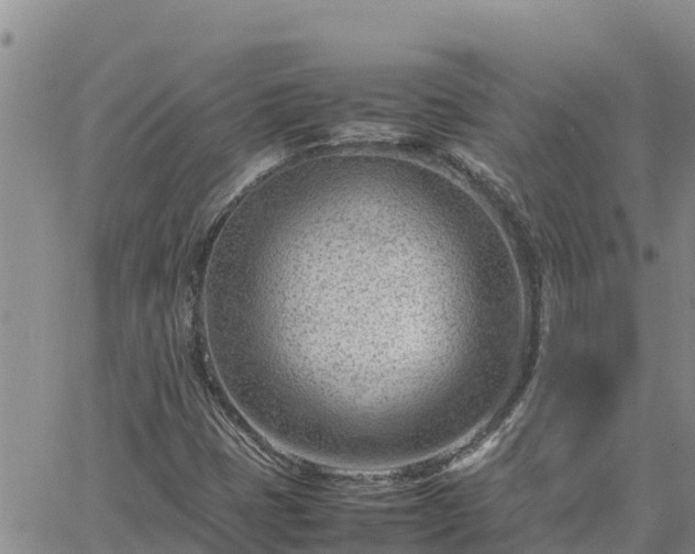 X0000064751401200602171721