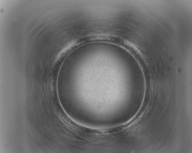 X0000064751403200602171721