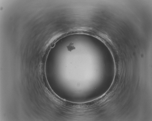 X0000064751404200602171721