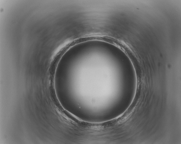 X0000064751406200602171721