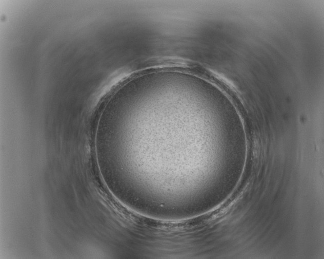 X0000064751407200602171721