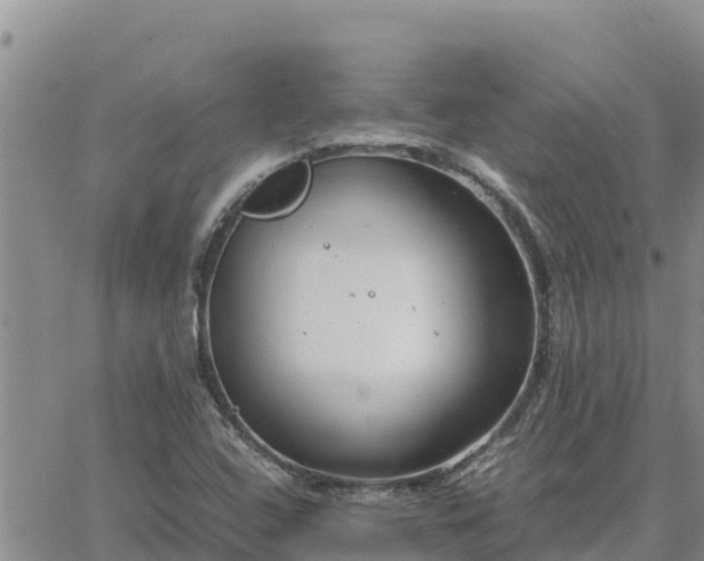 X0000064751408200602171721