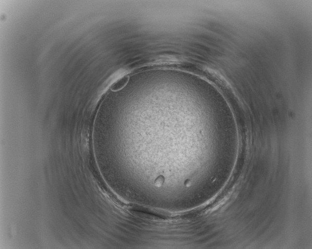 X0000064751409200602171721