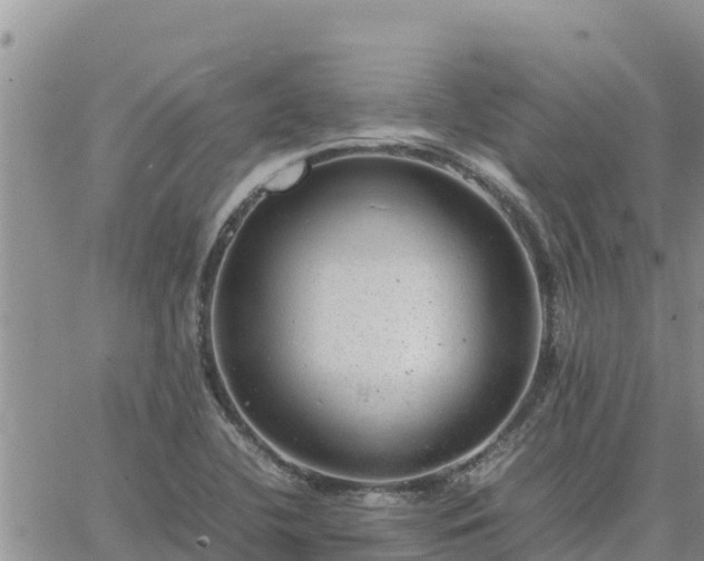 X0000064751412200602171721