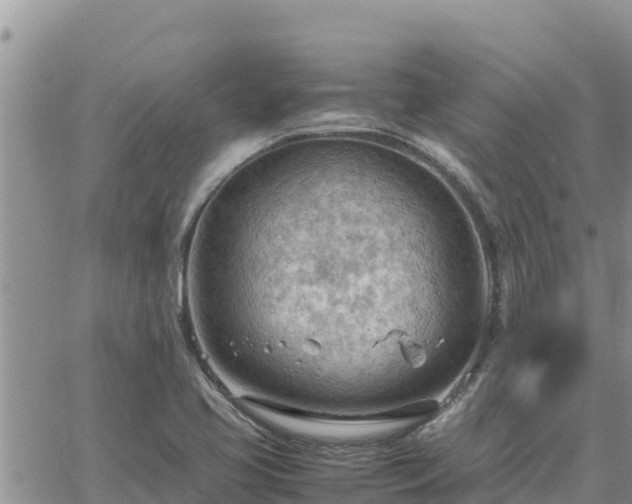 X0000064751413200602171721