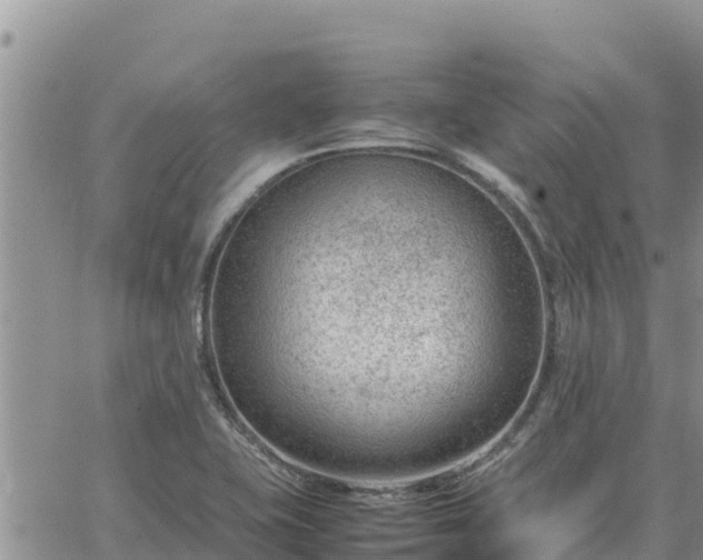 X0000064751415200602171721