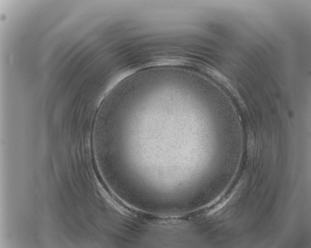 X0000064751417200602171721