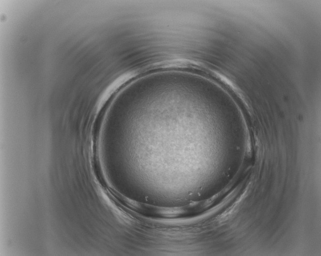 X0000064751418200602171721