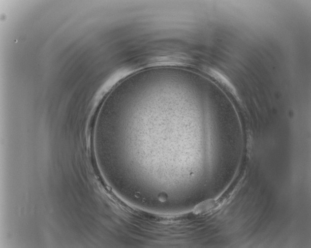 X0000064751419200602171721