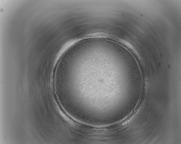 X0000064751421200602171721