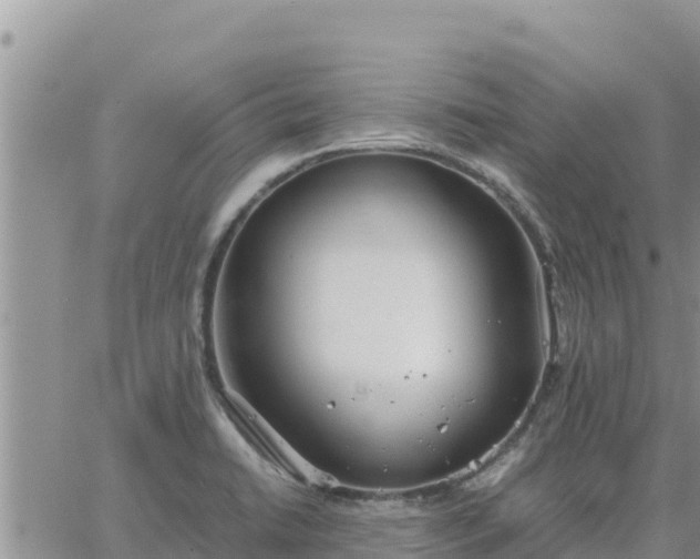 X0000064751422200602171721