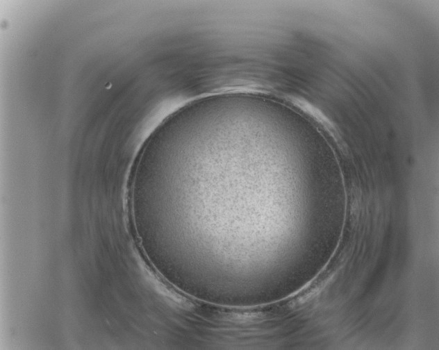 X0000064751423200602171721