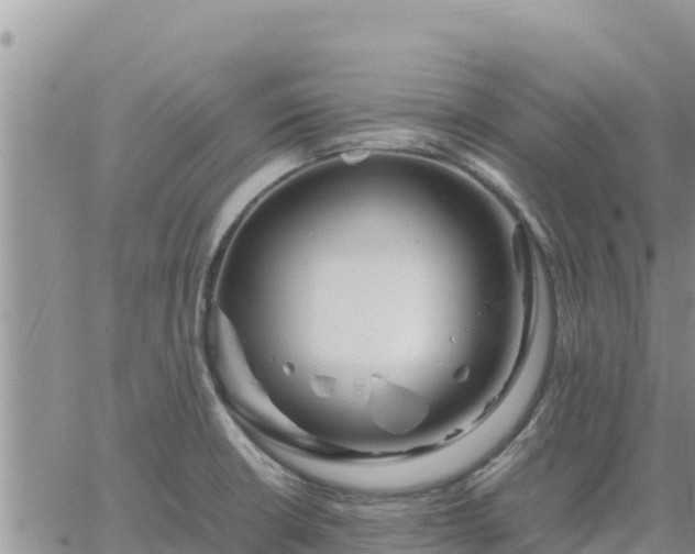 X0000064751426200602171721