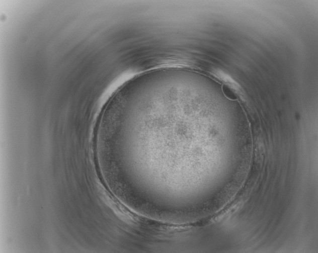 X0000064751427200602171721