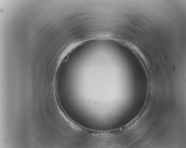 X0000064751432200602171721