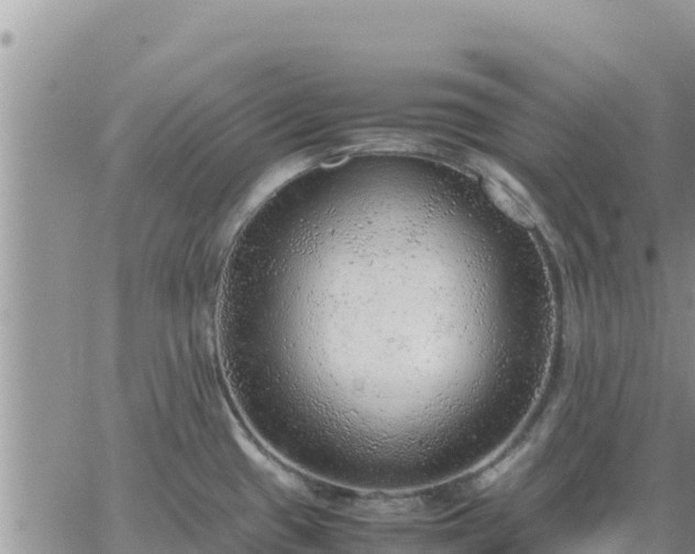 X0000064751433200602171721